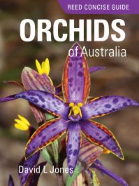 Reed Concise Guide: Orchids of Australia