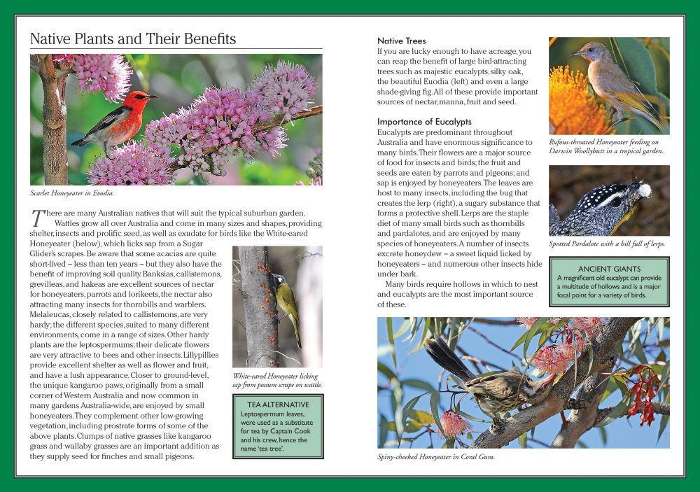 Green Guide Garden Birds of Australia