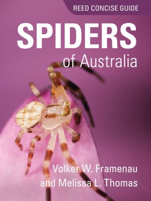 REED CONCISE GUIDE SPIDERS OF AUSTRALIA