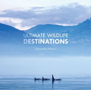 Ultimate Wildlife Destinations