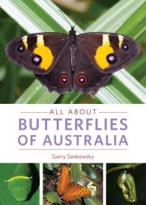 All about Butterflies of Australia