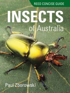 Reed Concise Guide Insects of Australia 