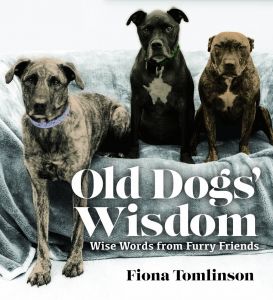 OLD DOGS WISDOM