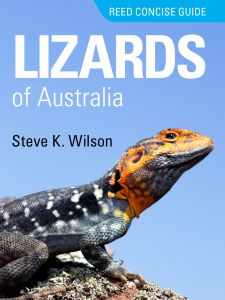 Reed Concise Guide Lizards of Australia