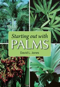 Starting Out with Palms