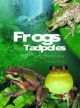Frogs and Tadpoles of Australia