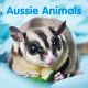 Aussie Animals