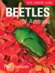 Reed Concise Guide: Beetles of Australia