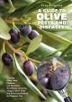 A Guide to Olive Pests and Diseases