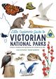 Little Explorer’s Guide to Victorian National Parks