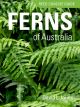 Reed Concise Guide: Ferns of Australia