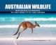 Australian Wildlife