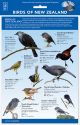 ID Chart - Birds of New Zealand