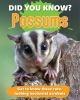 Did You Know? Possums