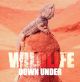 Wildlife Down Under
