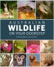 Australian Wildlife on your Doorstep