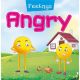 Feelings: Angry