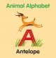 ANIMAL ALPHABET Board Book 