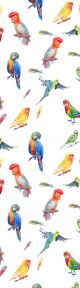 Tasseled Bookmark  BIRDS IN COLOUR