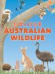 Colour Australian Wildlife