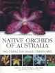 A Complete Guide to Native Orchids of Australia Including the Island Territories