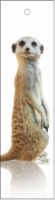 Meerkat Bookmark