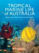 Tropical Marine Life of Australia