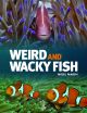 Weird & Whacky Fish