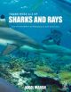 A-z of Sharks and Rays