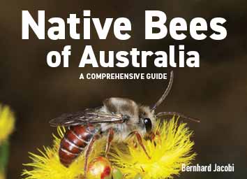 Australian Native Bees
