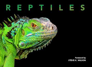 Reptiles-Deluxe