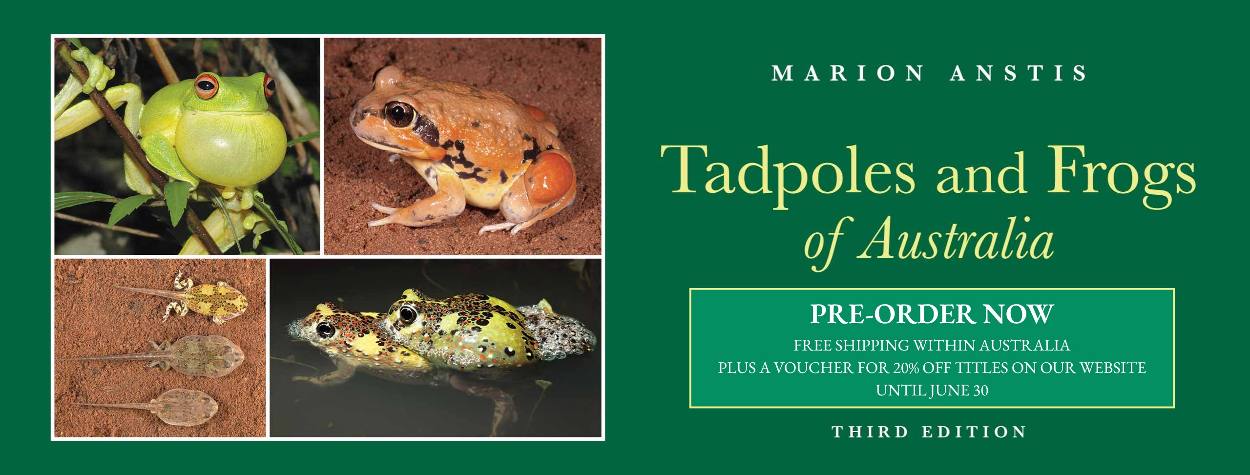 Tadpoles and Frogs